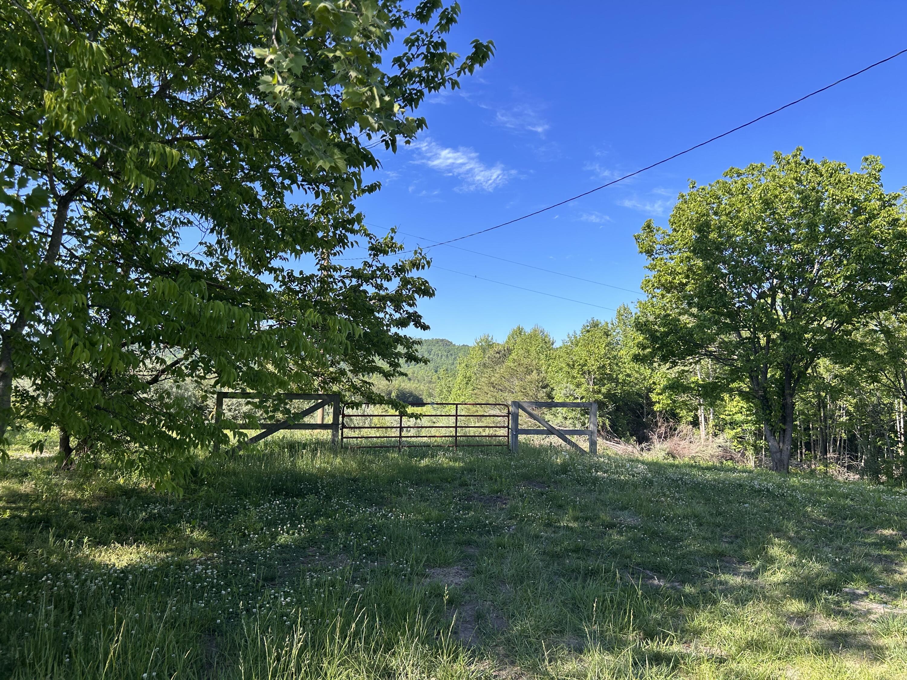 1635 Sandy Flats Road Williamsburg, KY 40769 - Photo 21 of 27 Large Tract fence