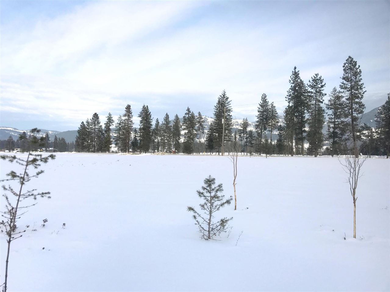 657 G Williams Lake Road Colville, WA 99114 - Photo 19 of 19