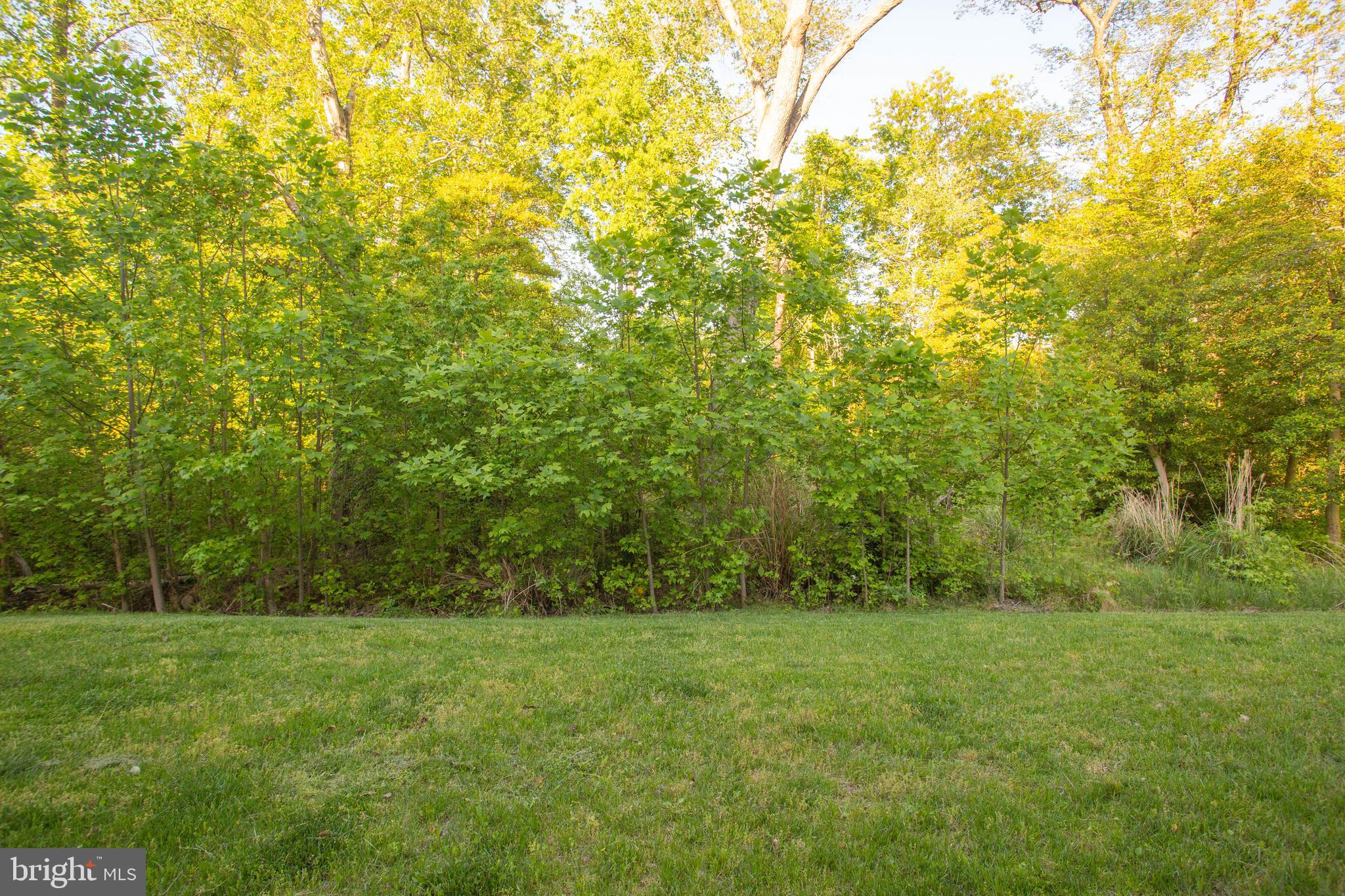 10523 Braddock Run Road Baltimore, MD 21220 - Photo 39 of 40