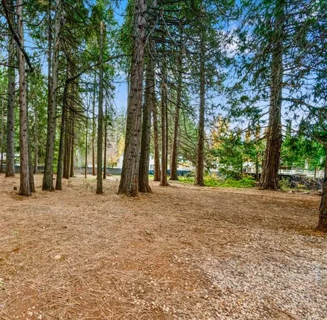 a view of a back yard of the house