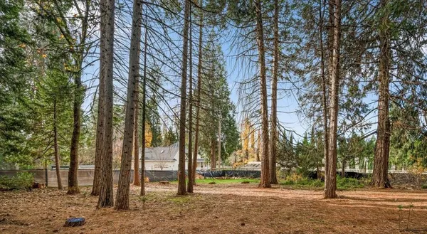 a view of outdoor space with trees