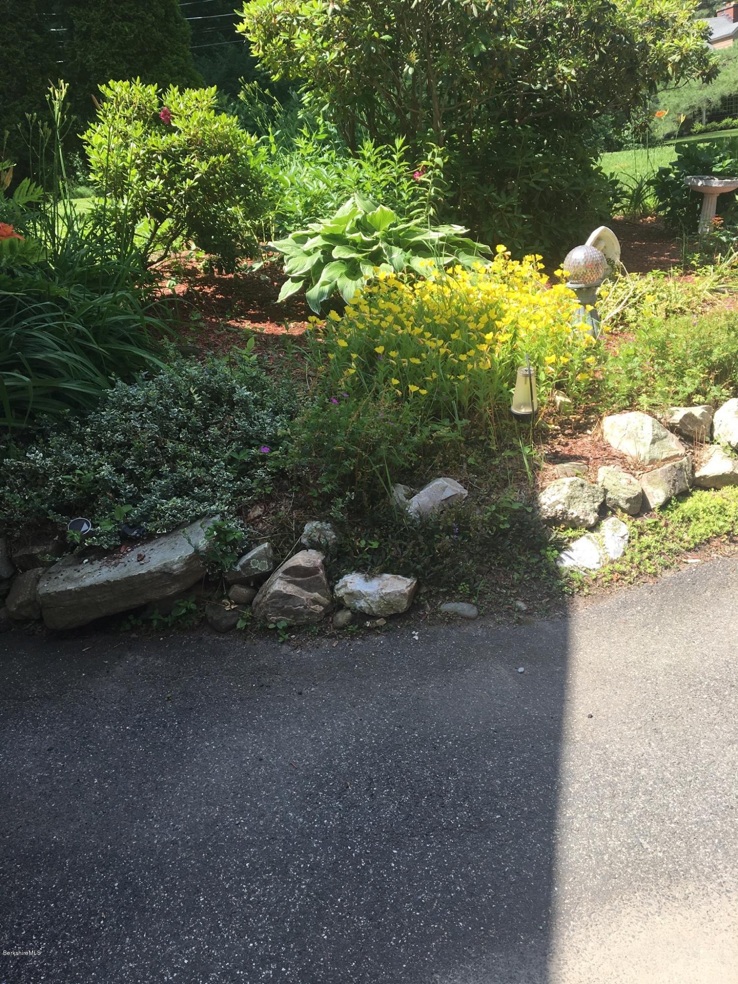 76 Partridge Road Pittsfield, MA 01201 - Photo 22 of 23 Beautiful perennials