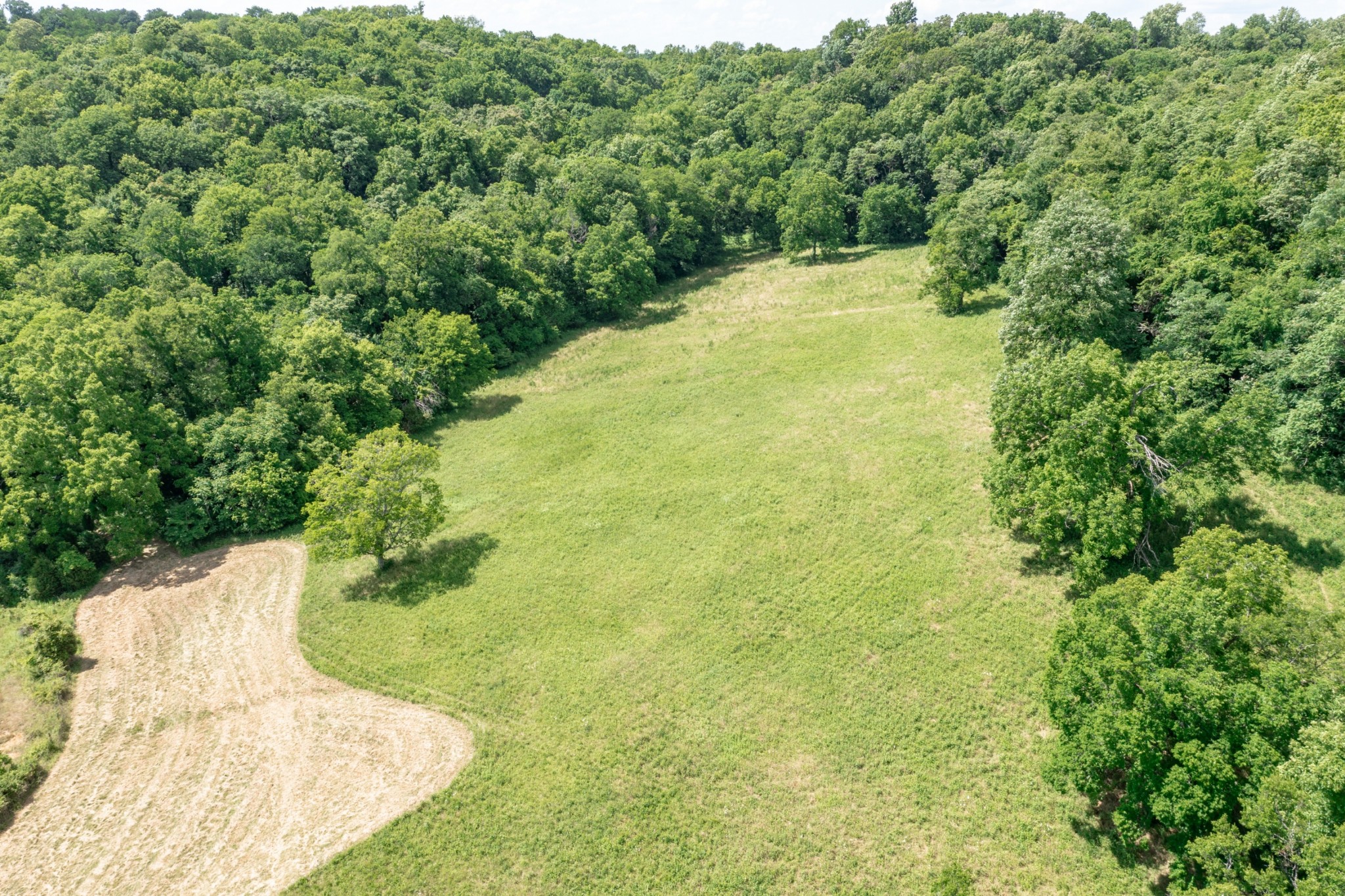 0 Mahon Road Columbia, TN 38401 - Photo 13 of 32 Gallery Image 13