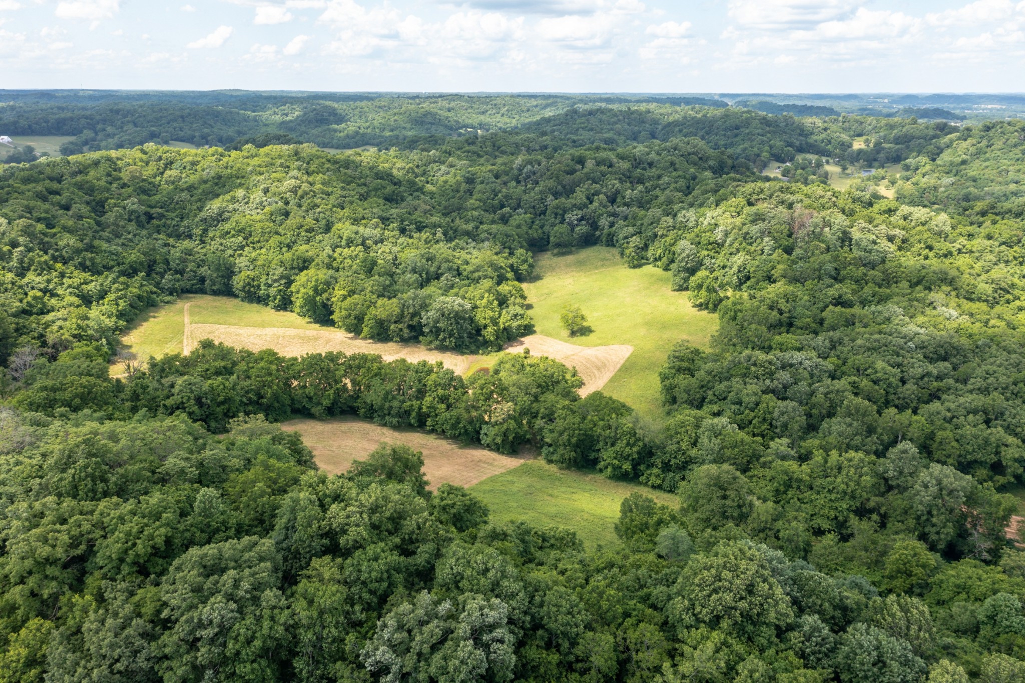 0 Mahon Road Columbia, TN 38401 - Photo 18 of 32 Gallery Image 18