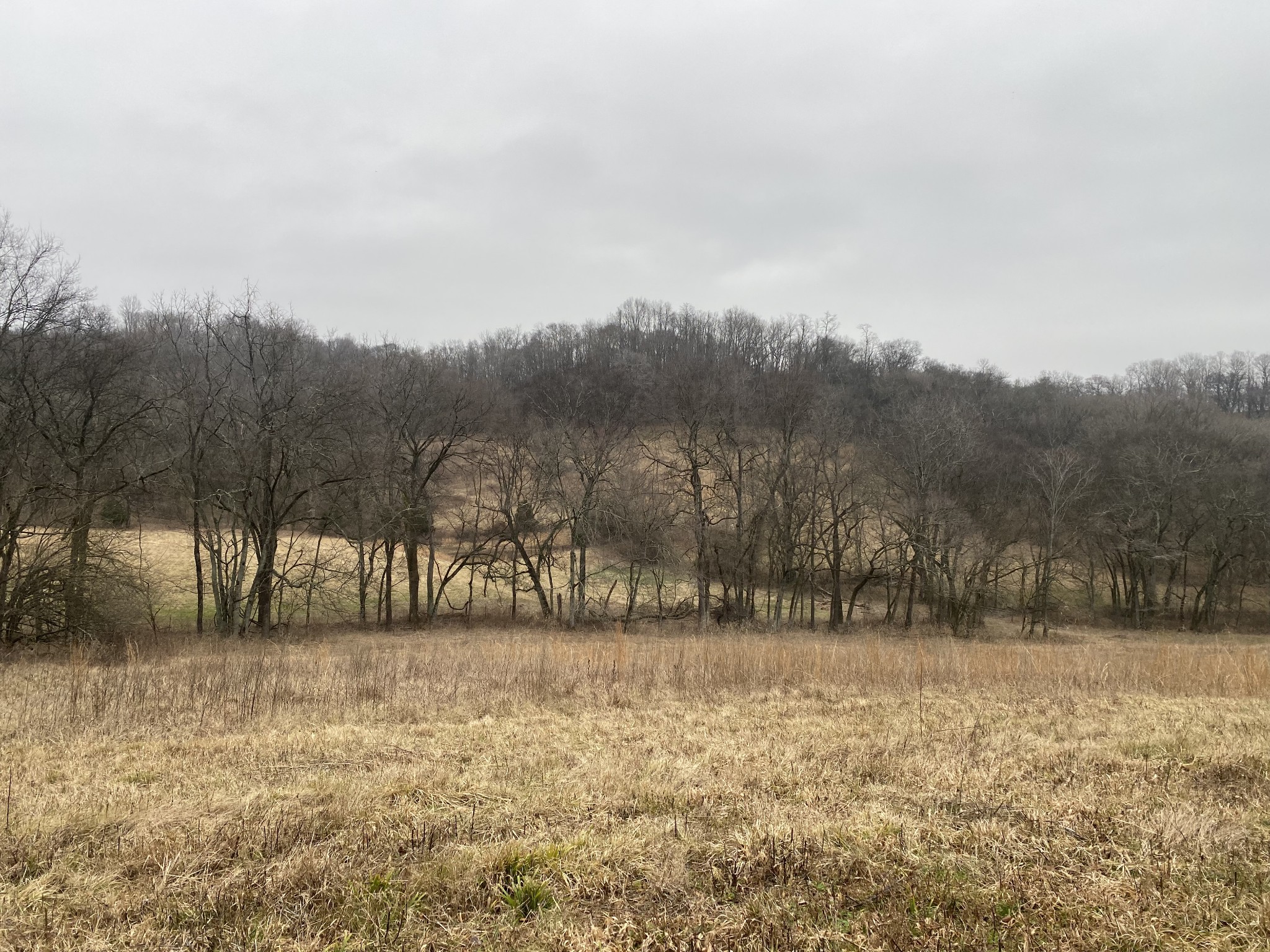 0 Mahon Road Columbia, TN 38401 - Photo 2 of 32 Gallery Image 2