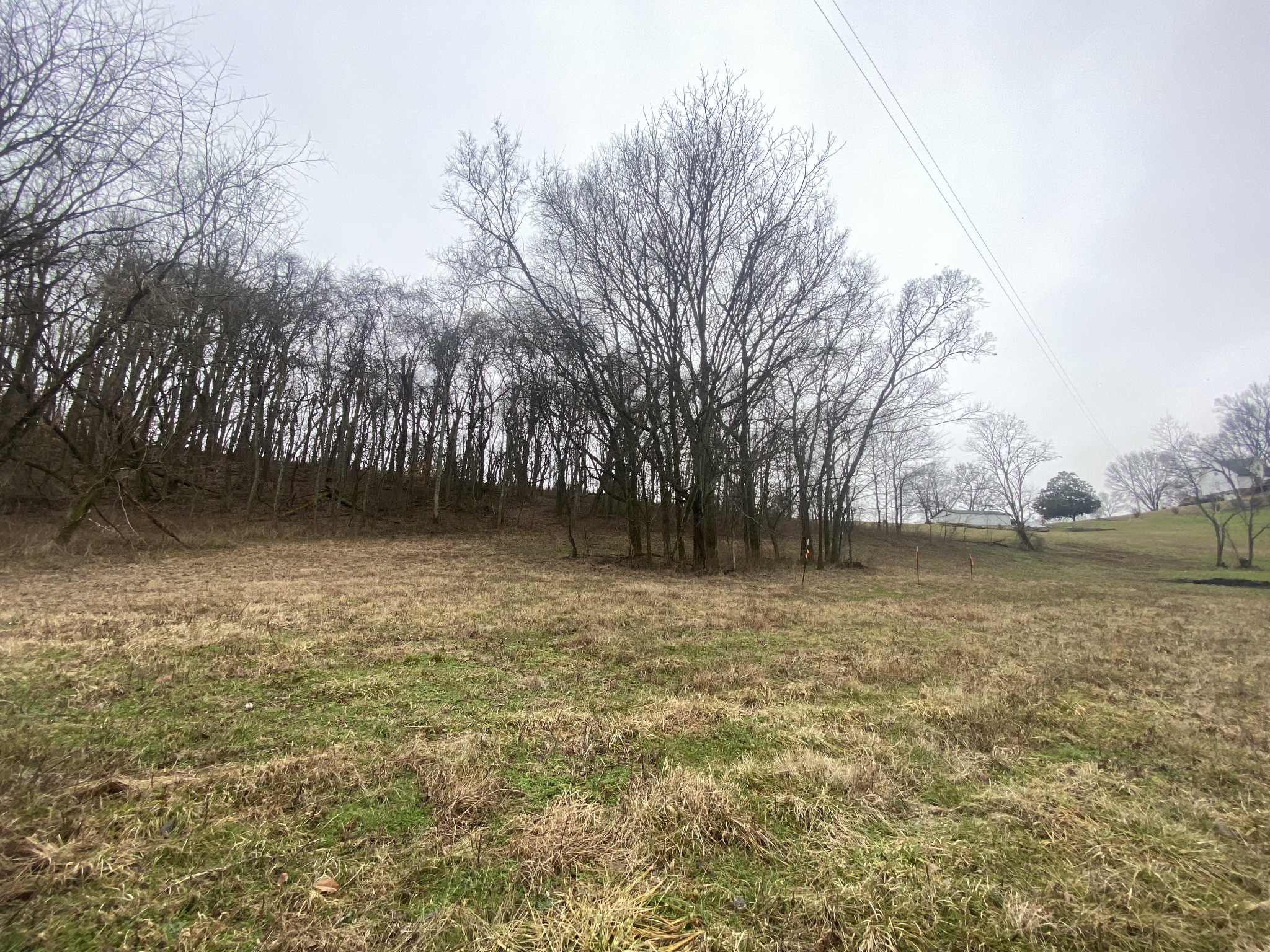 0 Mahon Road Columbia, TN 38401 - Photo 30 of 32 Gallery Image 30