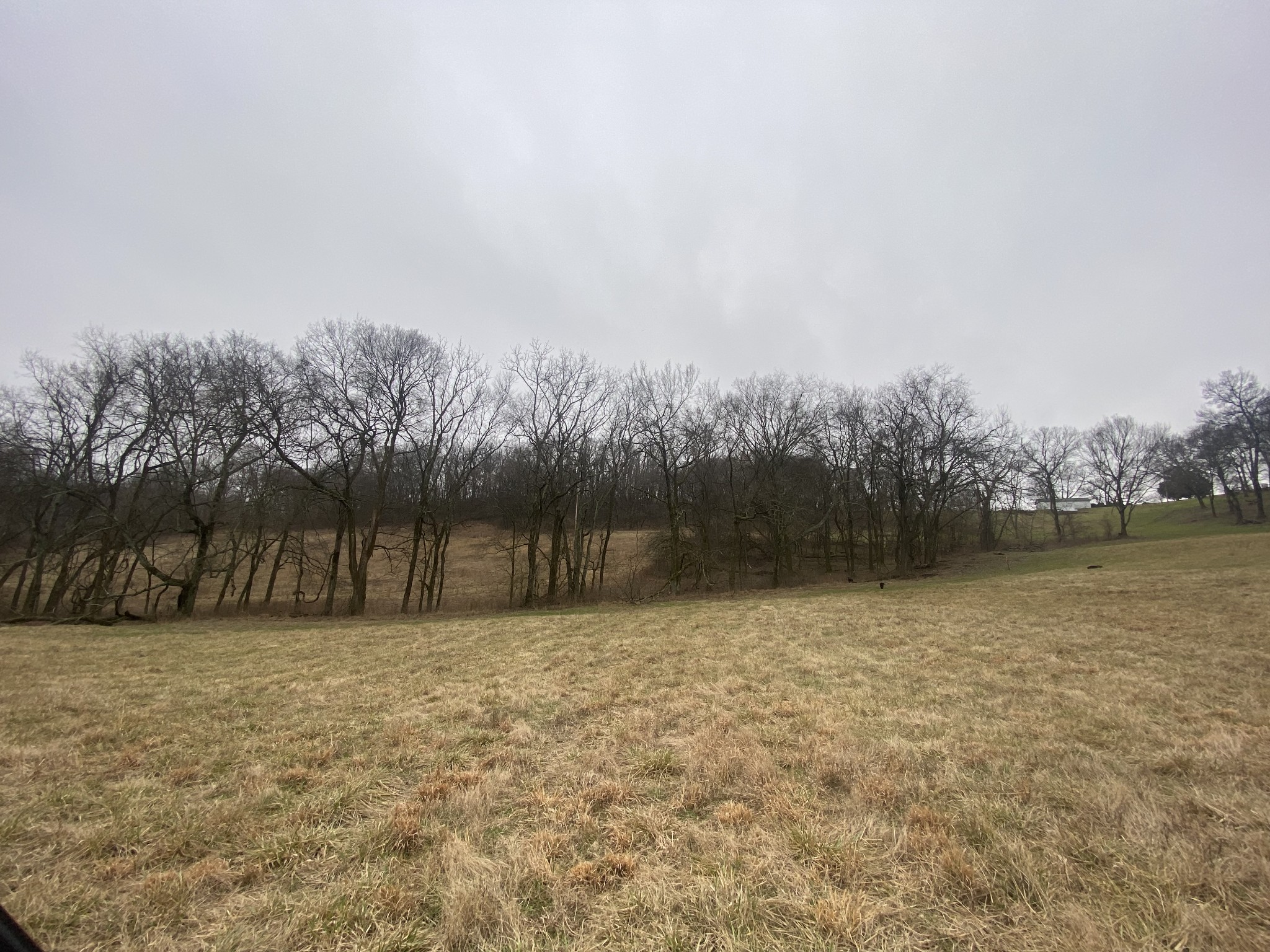 0 Mahon Road Columbia, TN 38401 - Photo 32 of 32 Gallery Image 32