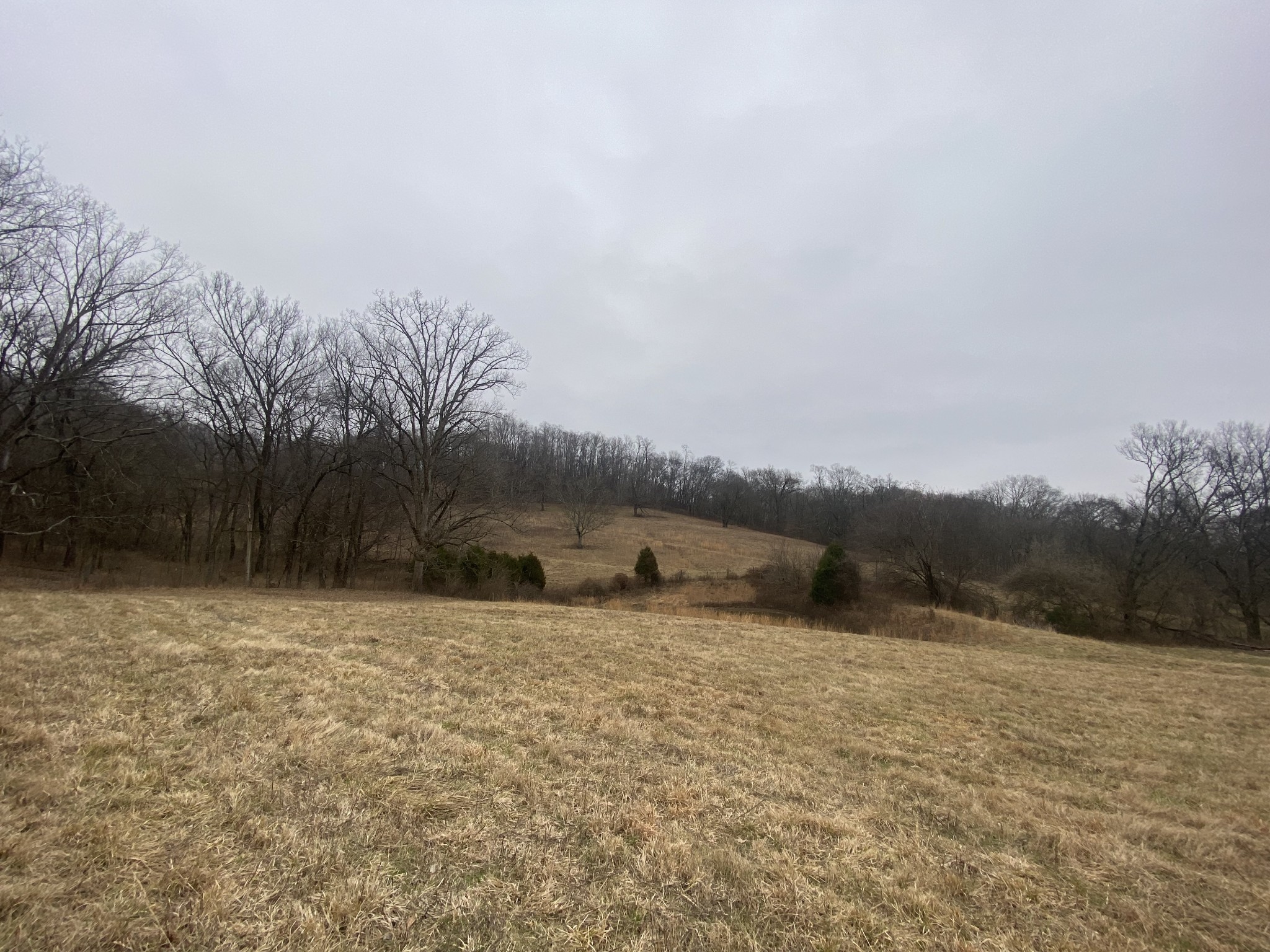 0 Mahon Road Columbia, TN 38401 - Photo 4 of 32 Gallery Image 4