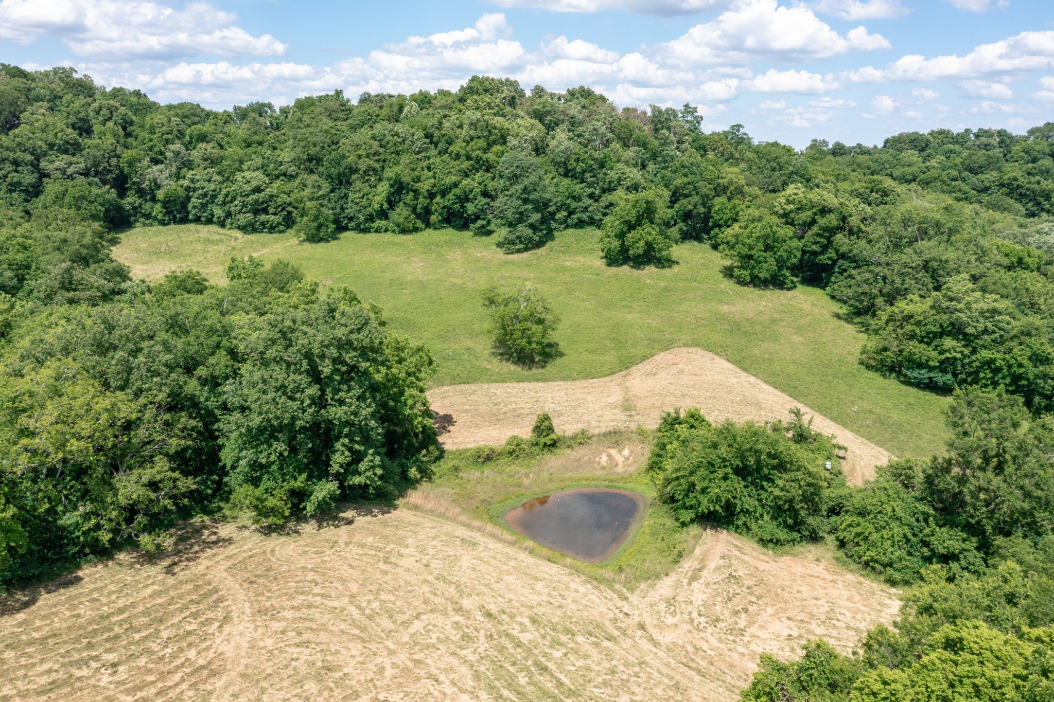 0 Mahon Road Columbia, TN 38401 - Photo 9 of 32 Gallery Image 9