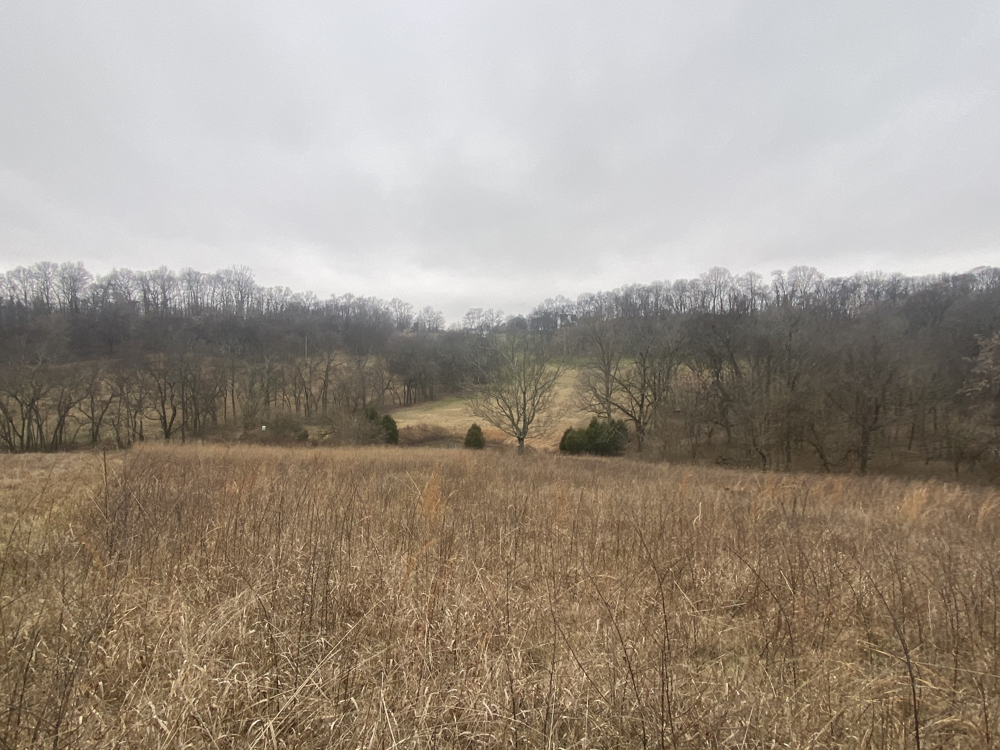 0 Mahon Road Columbia, TN 38401 - Photo 10 of 32 Gallery Image 10