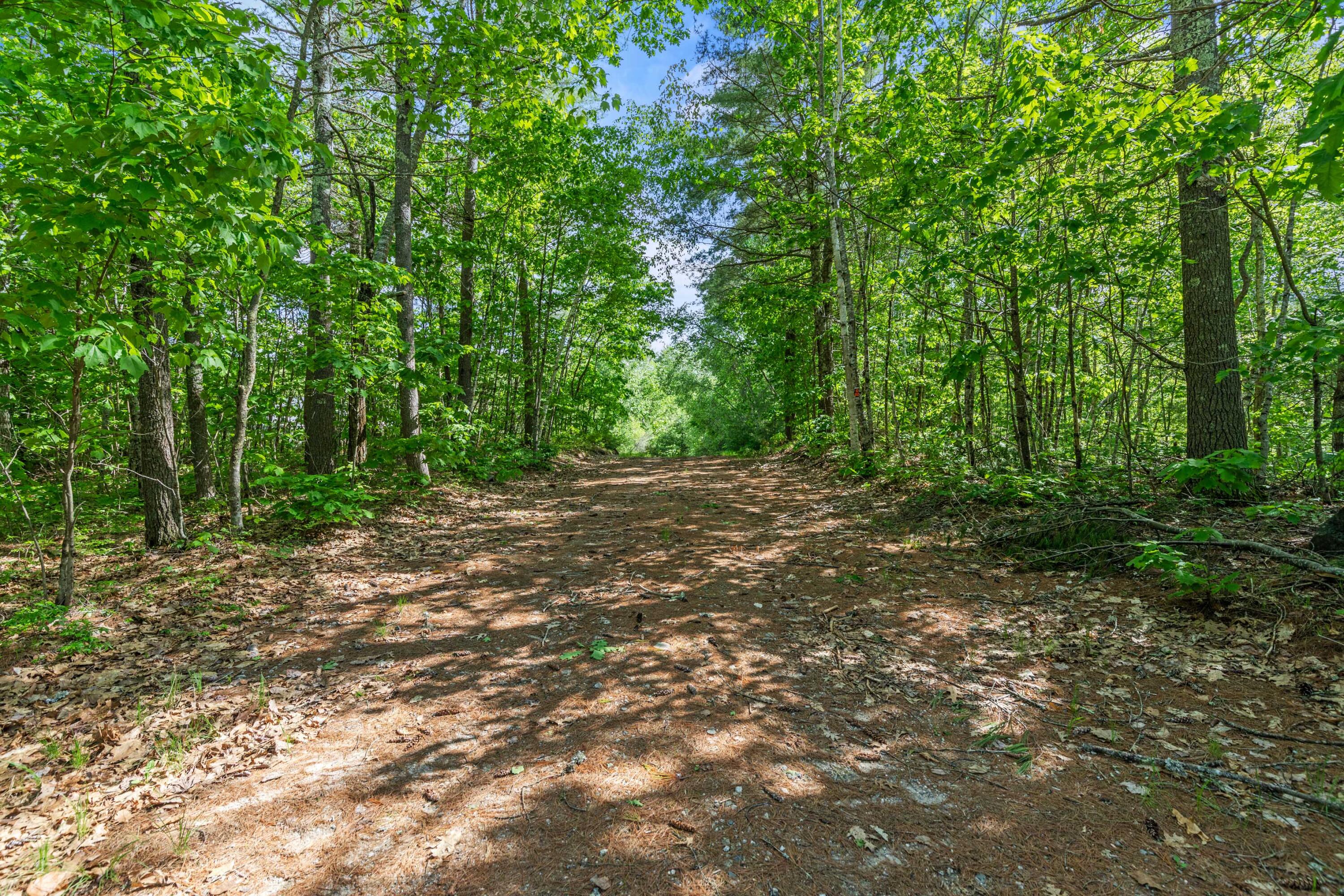 215 State Park Road Naples, ME 04055 - Photo 1 of 15 215 StatePark1