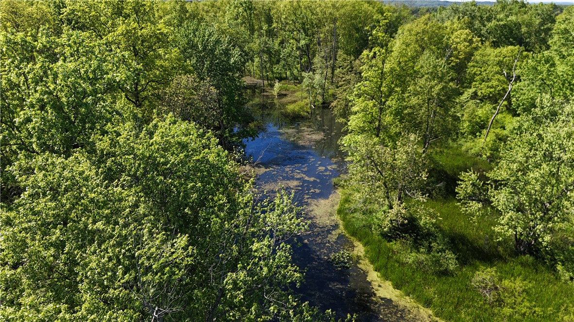 Dredge Ditch Road Conewango Valley, NY 14726 - Photo 11 of 21