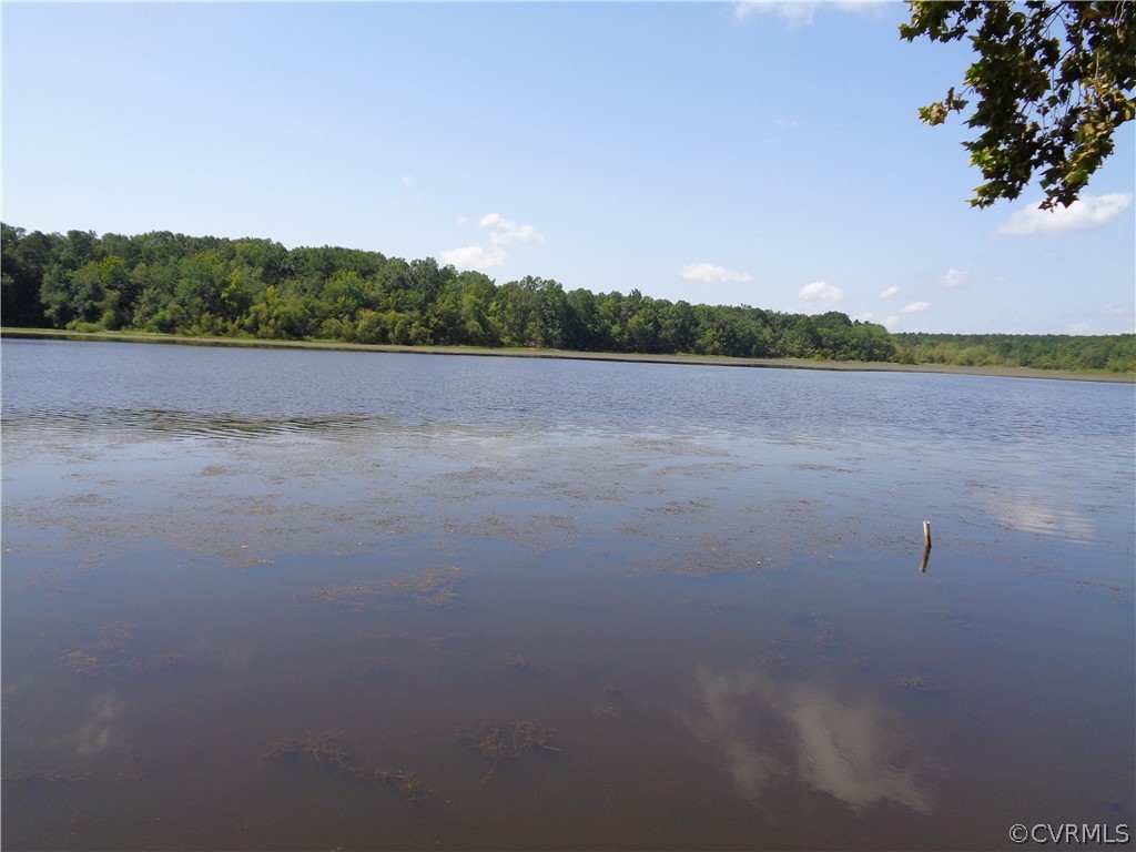 1204 Lake Forest Road Church Road, VA 23833 - Photo 26 of 39 Gallery Image 26