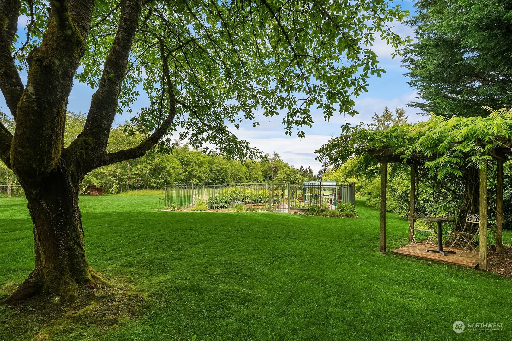10810 Southwest Bank Road Vashon, WA 98070 - Photo 25 of 34 a view of a garden with a tree