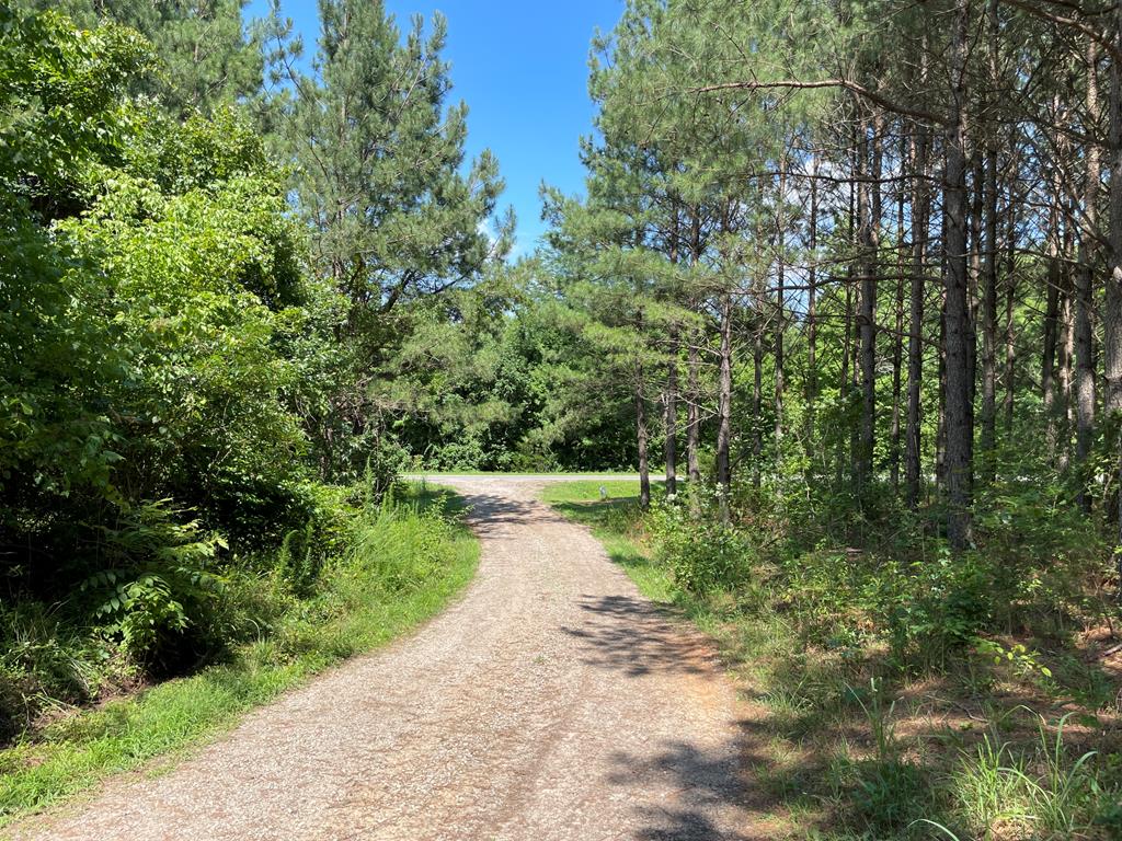 Deer Run Road Blackstone, VA 23824 - Photo 1 of 17 Gallery Image 1