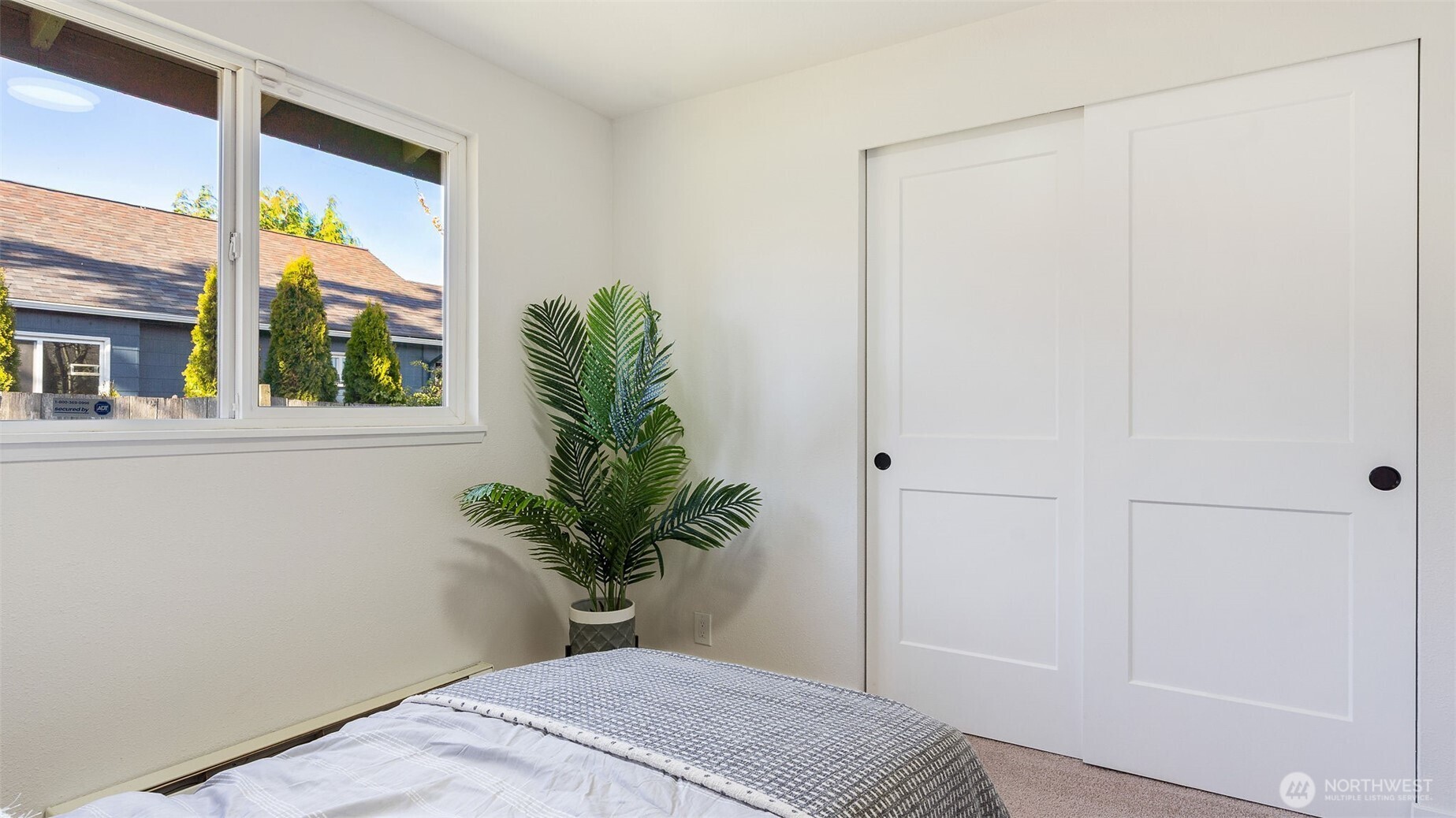 2520 Chestnut Street Everett, WA 98201 - Photo 14 of 29 a view of a potted plant in a room
