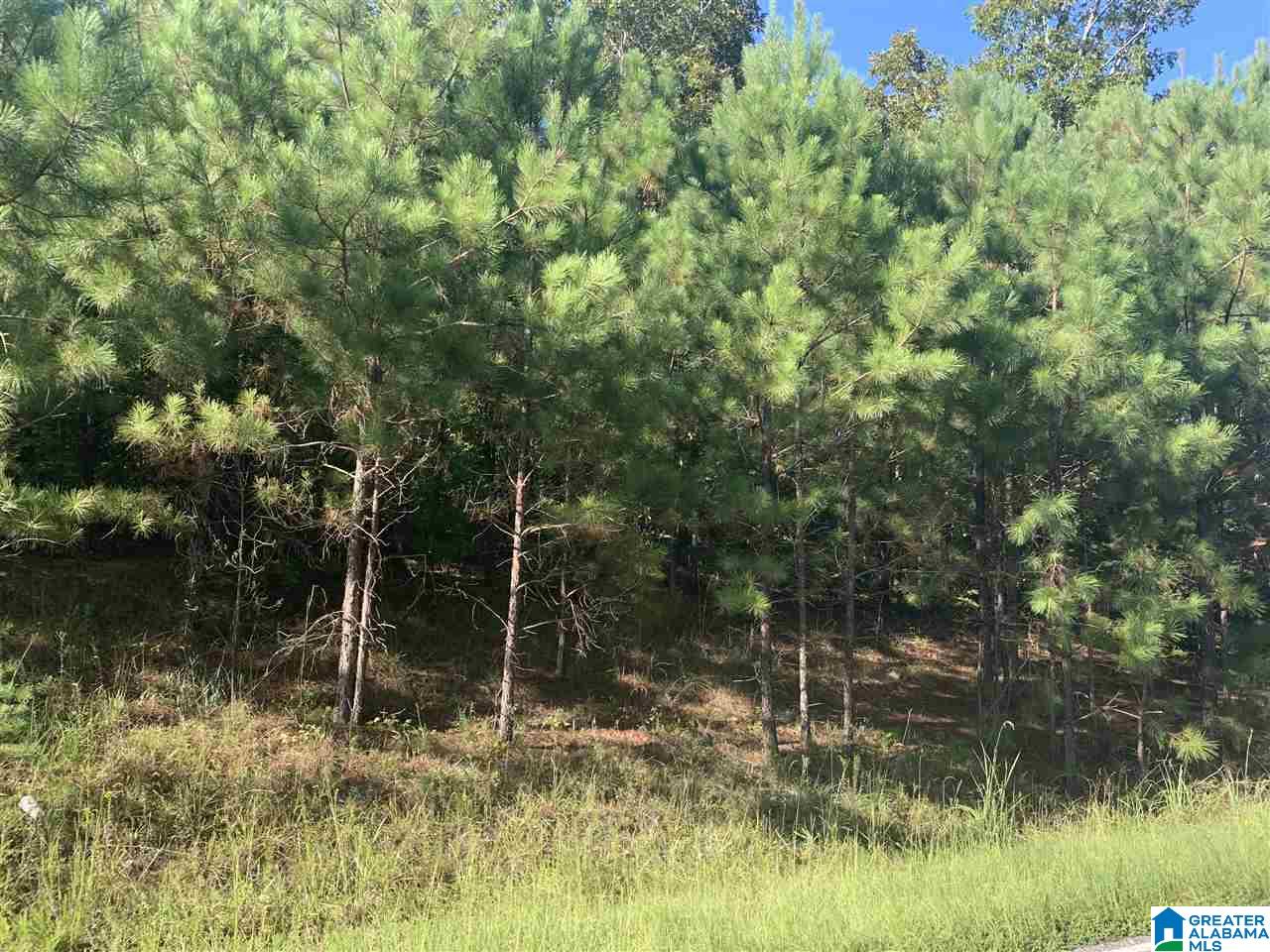Mckesie Street, Unit 40 Riverside, AL 35135 - Photo 3 of 24