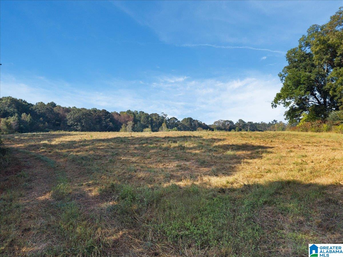 21 County Road, Unit 2 00 Horton, AL 35980 - Photo 7 of 17
