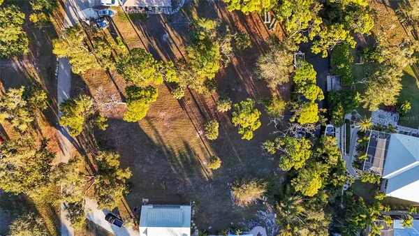 a view of outdoor flowers