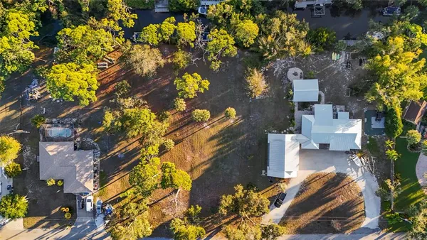 a large tree in the middle of a yard