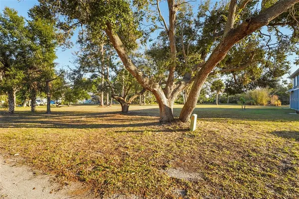 a view of a yard with a tree