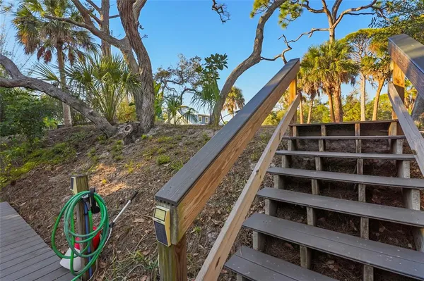 a view of a park with large trees