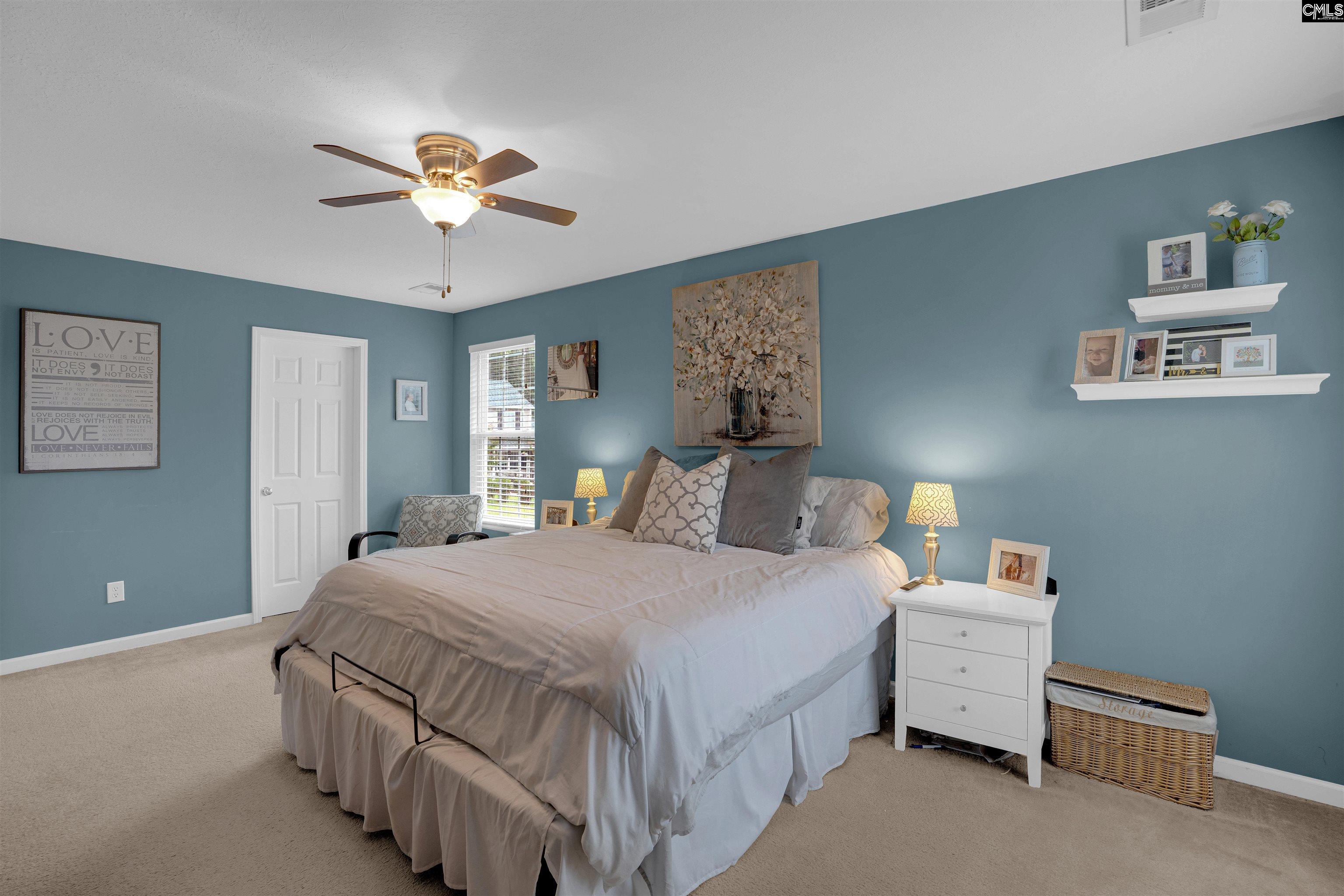 227 Walkbridge Way Chapin, SC 29036 - Photo 14 of 32 Gallery Image 14