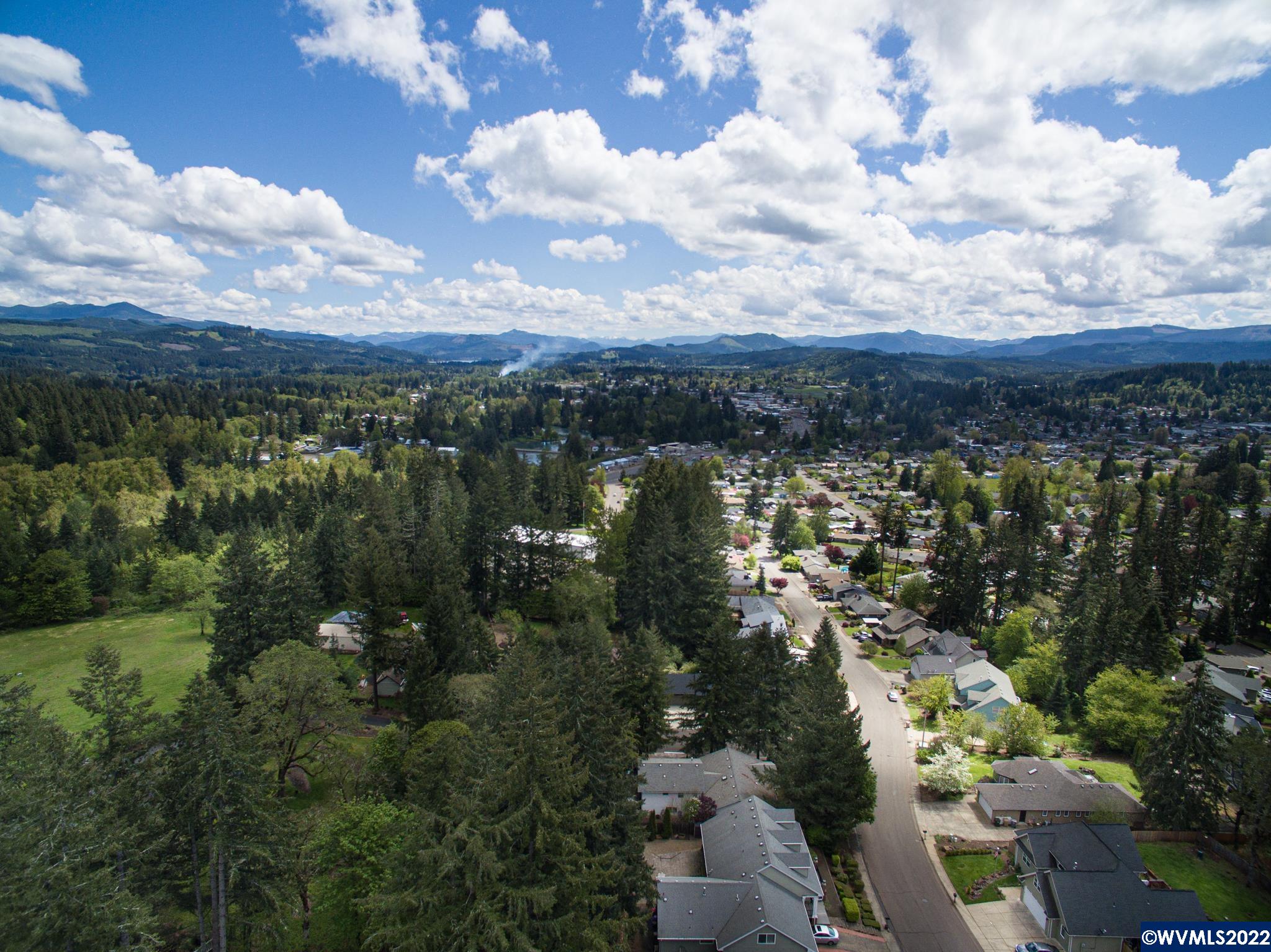 1498 Strawberry Ridge Sweet Home, OR 97386 - Photo 21 of 22