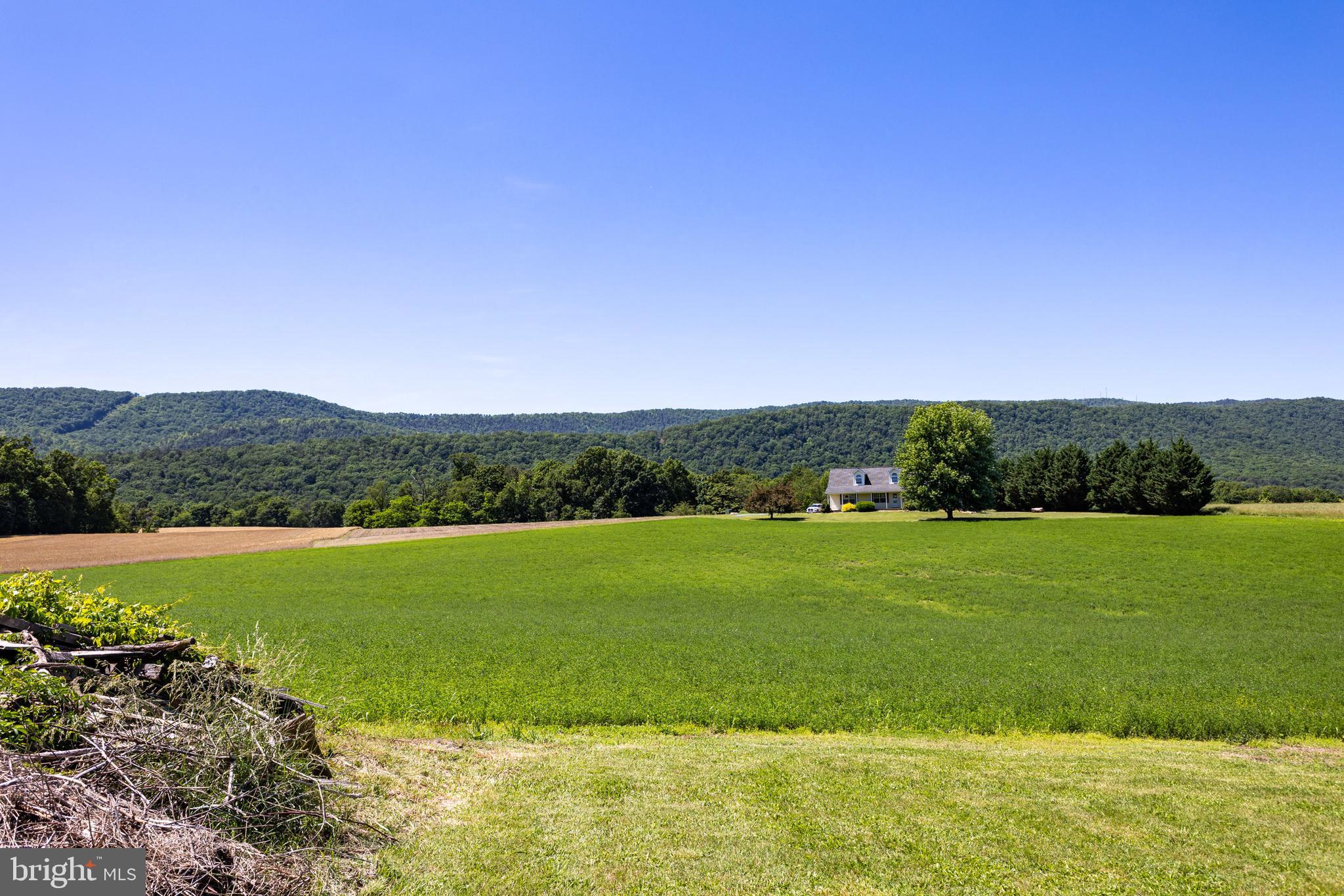 3233 Newport Road Shenandoah, VA 22849 - Photo 36 of 55