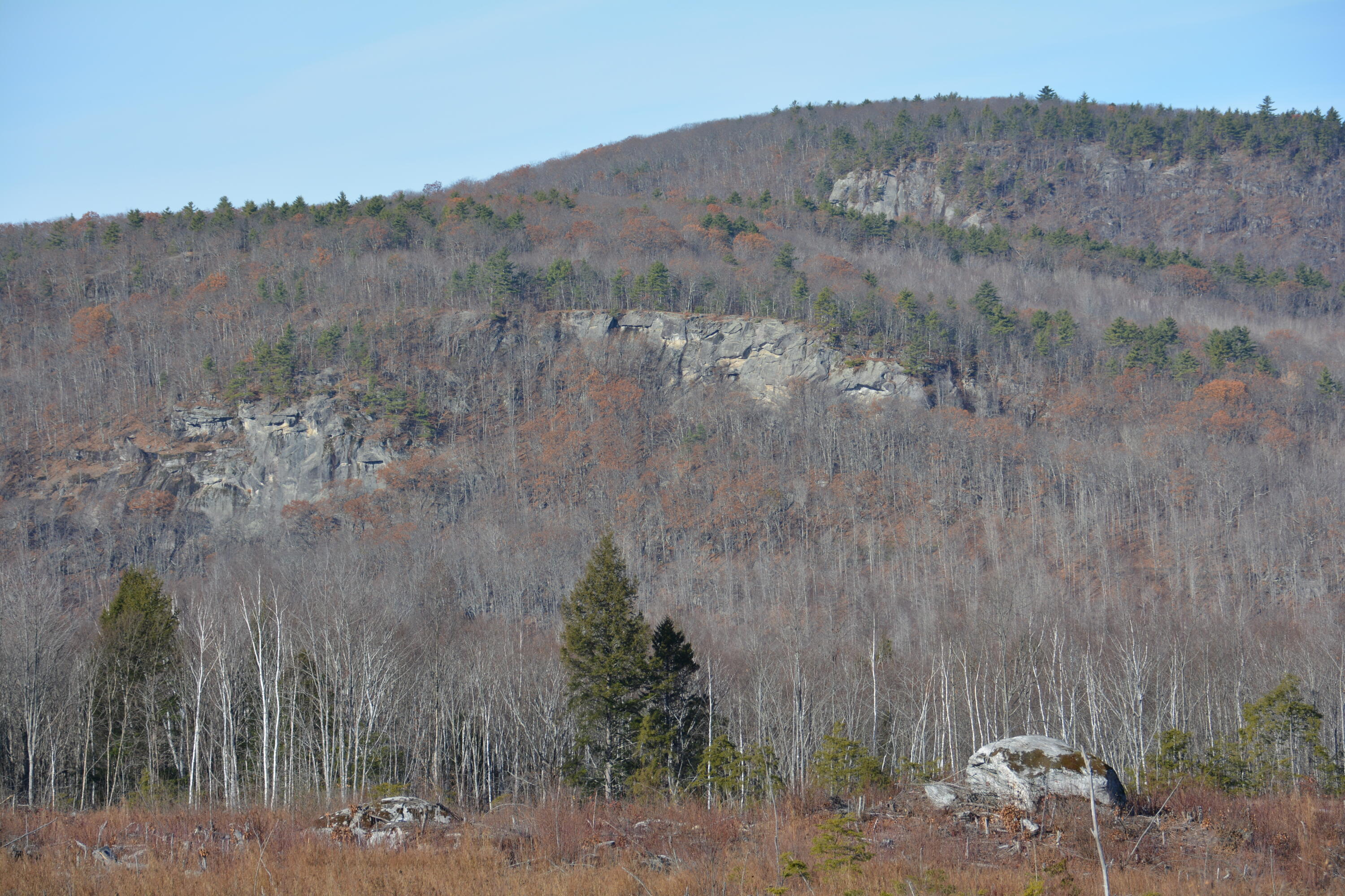 0 French Hill Road Bethel, ME 04217 - Photo 5 of 18 DSC_0169
