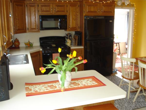 93 Harding Street Medfield, MA 02052 - Photo 4 of 12 Gallery Image 4