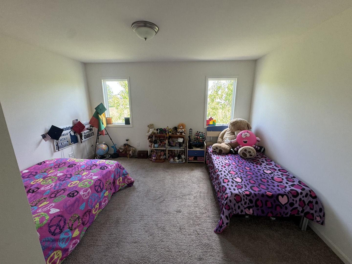 1239 Auburn Road Lemont, IL 60439 - Photo 24 of 33 Gallery Image 24
