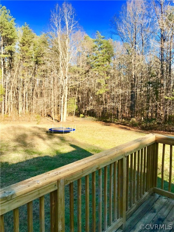 16124 Ranch House Road Montpelier, VA 23192 - Photo 31 of 31 Gallery Image 31
