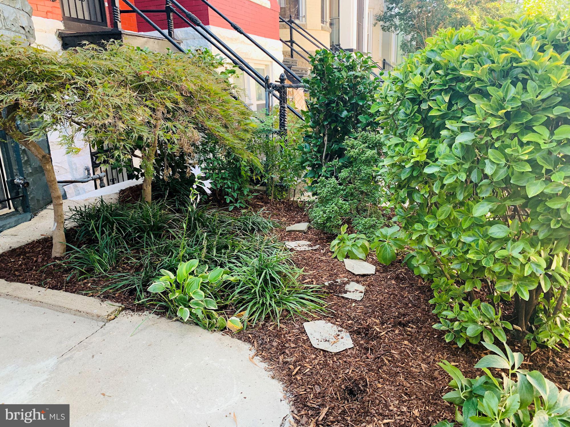 40 R Street Northwest Washington, DC 20001 - Photo 40 of 59 a backyard of a house with lots of green space
