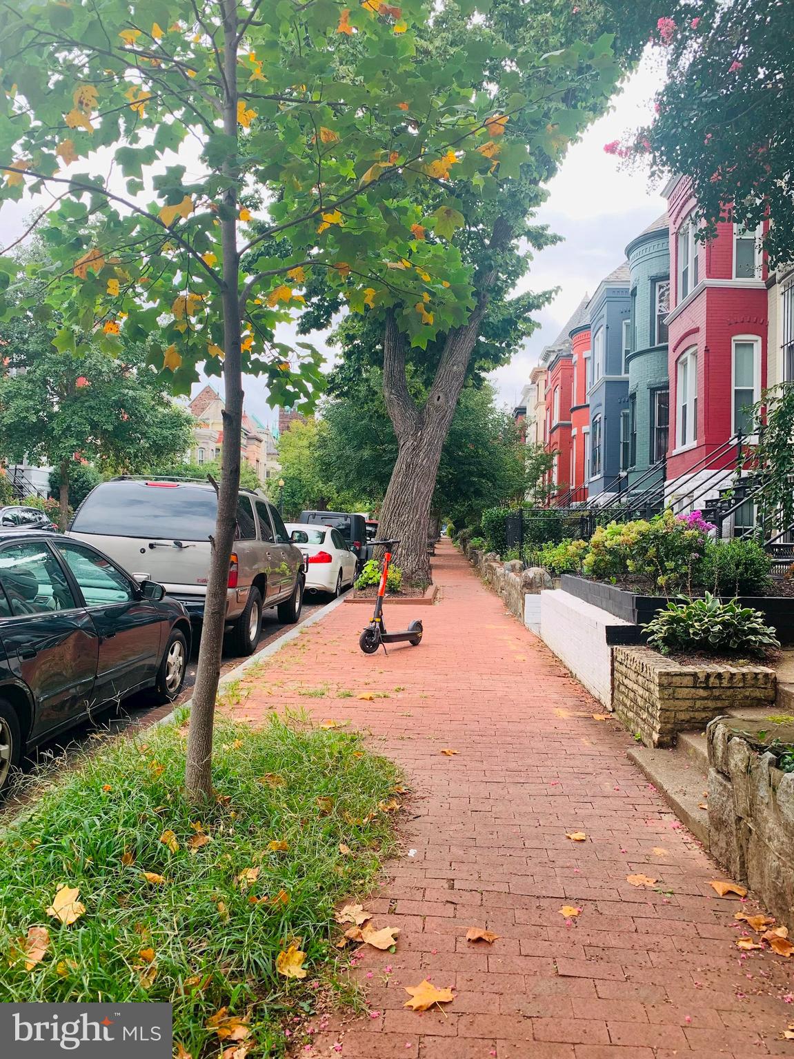 40 R Street Northwest Washington, DC 20001 - Photo 41 of 59 a park view with a bench and a slide