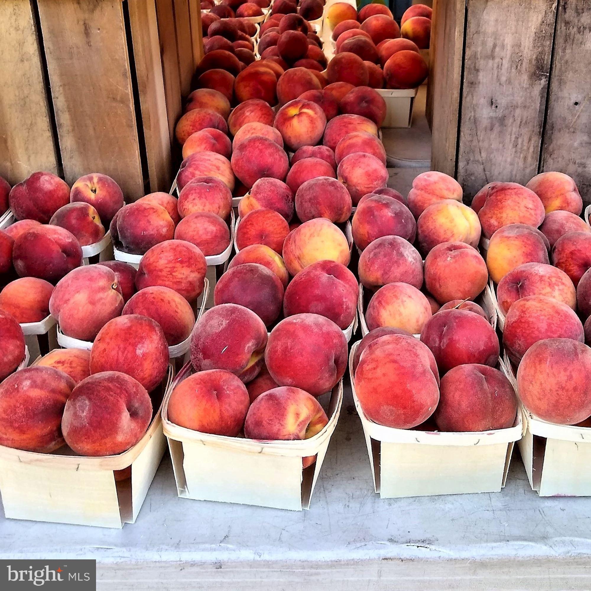 40 R Street Northwest Washington, DC 20001 - Photo 46 of 59 Steps to farmers market