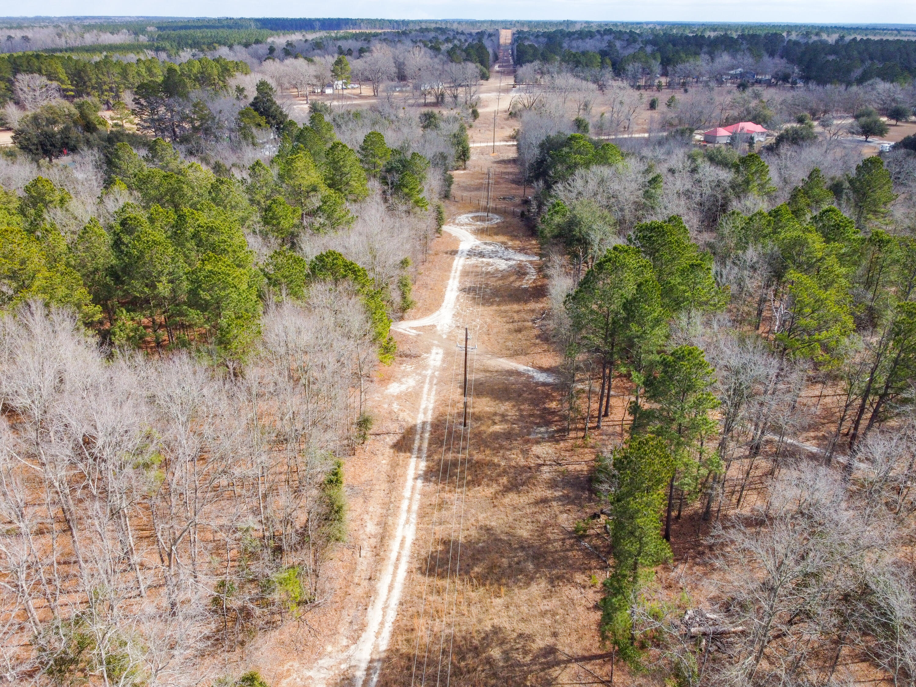 2698 Bull Swamp Road North, SC 29112 - Photo 4 of 15 DJI_0527