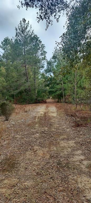 326 Elm Trail Interlachen, FL 32148 - Photo 2 of 5 a view of a lake view