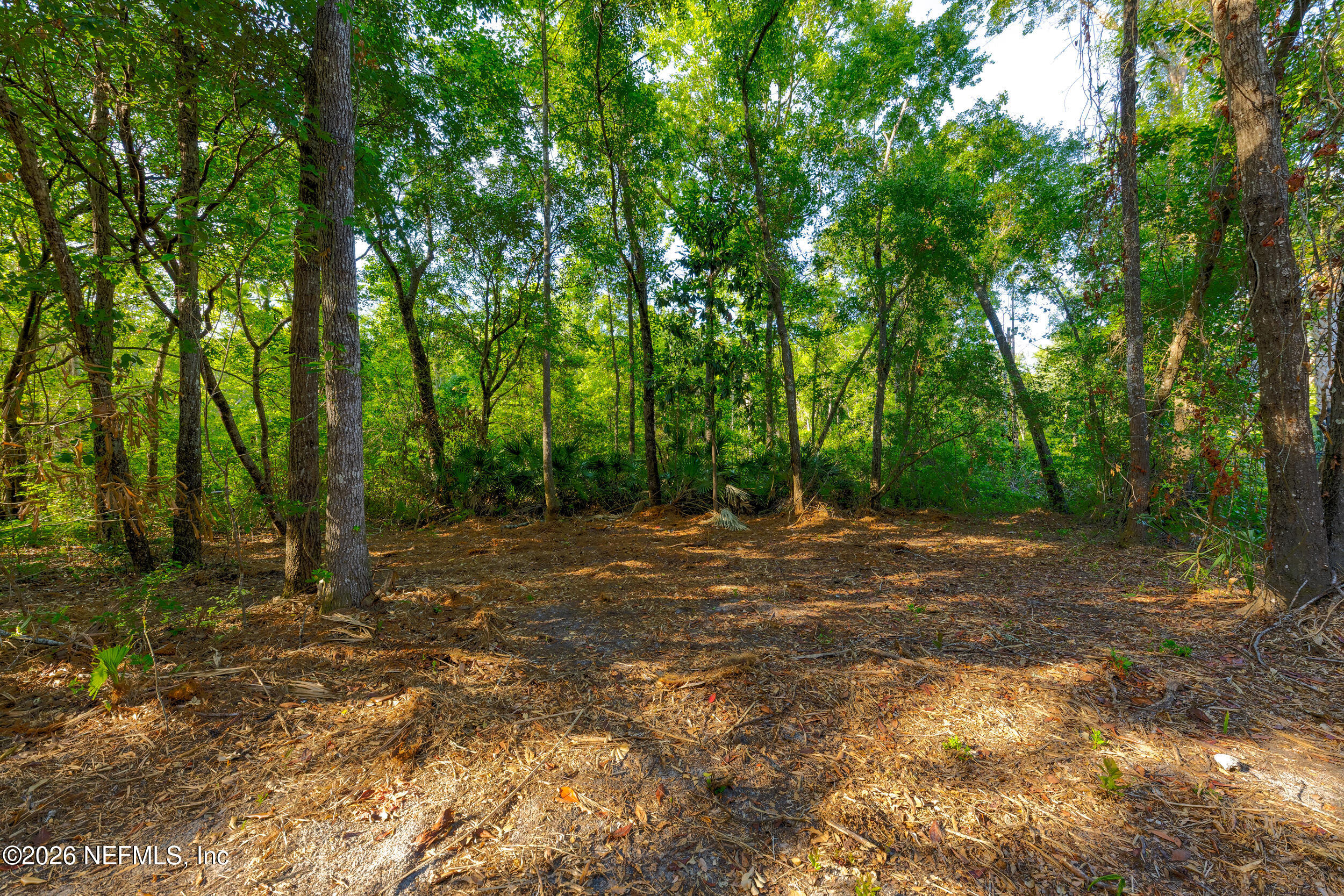 3075 Bishop Estates Road St. Johns, FL 32259 - Photo 14 of 39 Estate-sized Homesite