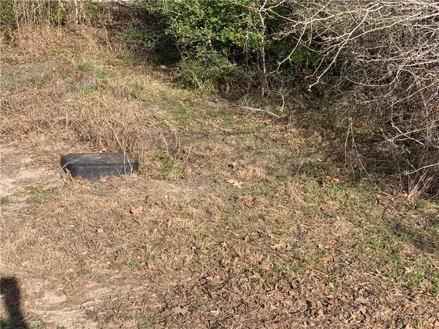 $55,000 | 1505 Pin Tail Cove, Caldwell, TX 77836