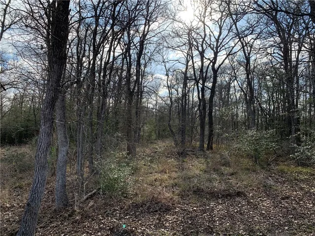 $55,000 | 1505 Pin Tail Cove, Caldwell, TX 77836