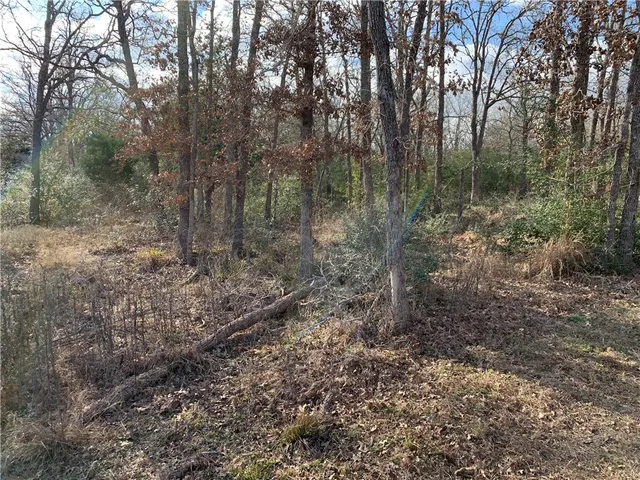 $55,000 | 1505 Pin Tail Cove, Caldwell, TX 77836