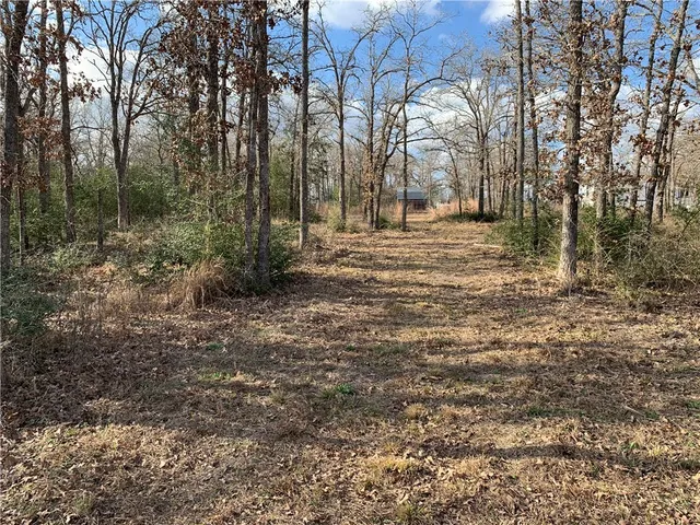 $55,000 | 1505 Pin Tail Cove, Caldwell, TX 77836