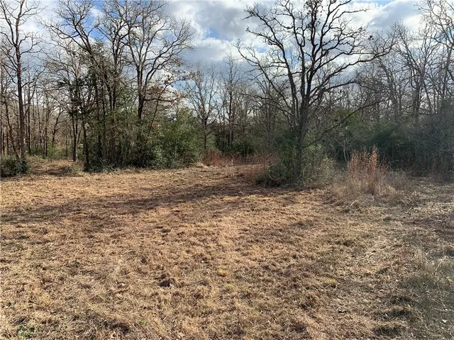 $55,000 | 1505 Pin Tail Cove, Caldwell, TX 77836