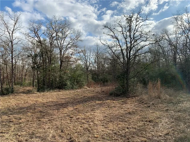 $55,000 | 1505 Pin Tail Cove, Caldwell, TX 77836