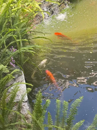 $1,150,000 | 5516 Molino Road, Molino, FL 32577