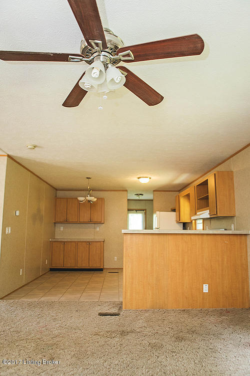 124 Millers Ridge Lebanon Junction, KY 40150 - Photo 12 of 43 7G9A3717