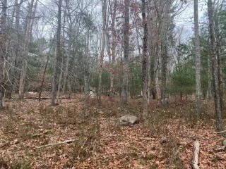 74 Hoxsie Road Richmond, RI 02892 - Photo 2 of 3