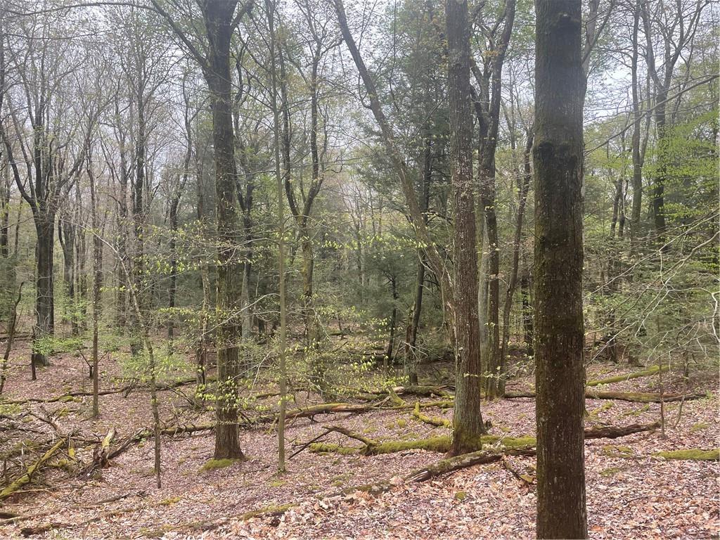 0 Vought Rock Road Garrett, PA 15542 - Photo 17 of 23 Gallery Image 17