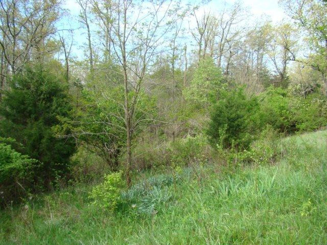 700 Oil Springs Road Winchester, KY 40391 - Photo 10 of 10 Photo 10
